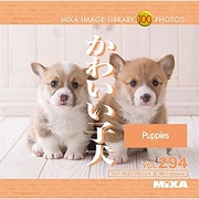MIXA IMAGE LIBRARY Vol.294 かわいい子犬 [Windows/Mac]