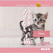 MIXA IMAGE LIBRARY Vol.295 かわいい子猫 [Windows/Mac]