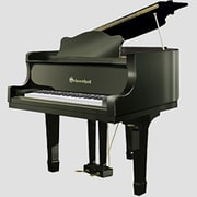 SBG4407B [リアル・ストリングス・グランド ブラック]