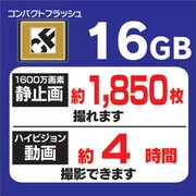 コンパクトフラッシュ 300倍速 16GB LCF16GERBJP300