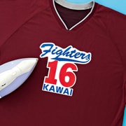 インクジェット用化繊布用アイロン転写紙 ハガキサイズ 3シート JP-TPRTENA6