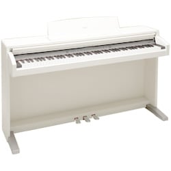 【美品】KORG 電子ピアノ DK-450 【無料配送可能】
