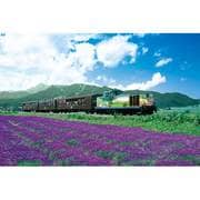 ジグソー 11-337 ラベンダー畑を旅するノロッコ号　1000ピース
