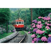 26-217 あじさい薫る箱根登山電車 [ジグソーパズル めざせ！パズルの達人 300ピース（完成サイズ：26×38cm）]