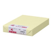 色上質紙 中厚口 レモン B4 500枚 ナ-2252