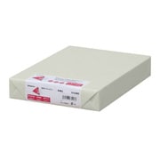 色上質紙 中厚口 うす水 B4 500枚 ナ-2263