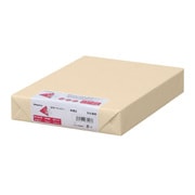 色上質紙 中厚口 アイボリー B4 500枚 ナ-2265