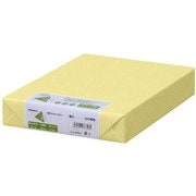 カラーペーパー 厚口 クリーム B4 500枚 ナ-2353