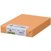 カラーペーパー 厚口 オレンジ B4 500枚 ナ-2368
