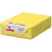 カラーペーパー 特厚口 黄 B4 500枚 ナ-2455