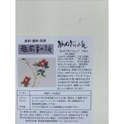 ME-206-2L 新フォトインクジェット紙 130g/㎡ 2L ME-206-2L