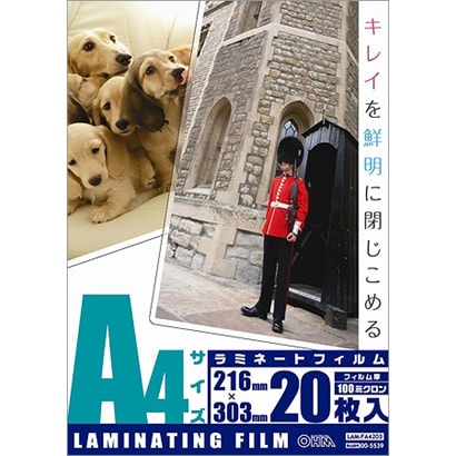 ラミフィルム A4サイズ 100ミクロン 20枚 LAM-FA4203
