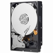 SATA接続 3.5インチ内蔵ハードディスク 1TB 【バルク品】 WD10EADS-M2B