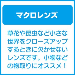 ヨドバシ.com - タムロン TAMRON SP AF60mm F/2 DiII LD IF ヨドバシ.com - タムロン TAMRON SP AF60mm F/2 DiII LD IF
