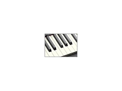 ヨドバシ.com - カシオ CASIO AP-420BK [デジタルピアノ 88鍵 ブラック