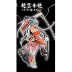 ヨドバシ.com - ビート 一騎当千 趙雲子龍 コミック14巻イラスト