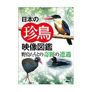 日本の珍鳥 映像図鑑 野鳥たちとの奇跡の遭遇