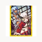 クイーンズブレイド・ザ・デュエル オフィシャルキャラスリーブ Vol.4 逢魔の女王アルドラ