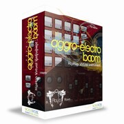 PLAYA AGGRO ELECTRO BOOM [ソフトウェア音源 SVPAEB]