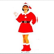 クリスマス用品 [DXサンタ服 女性用]