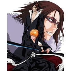 2010年カレンダー BLEACH(B) A2サイズ