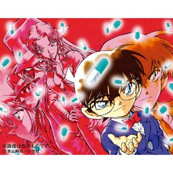 2010年カレンダー 名探偵コナン 45×52サイズ