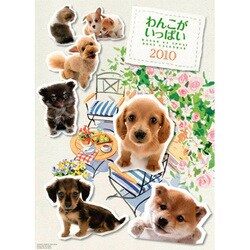 2010年カレンダー わんこがいっぱい A3サイズ