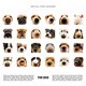 2010年カレンダー THE DOG ALL STAR 60×30サイズ