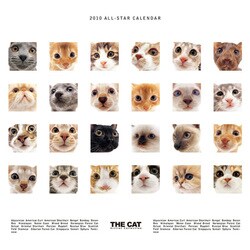 2010年カレンダー THE CAT ALL STAR 60×30サイズ