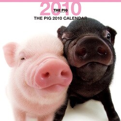 2010年カレンダー THE PIG 60×30サイズ