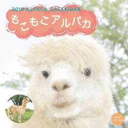 2010年カレンダー もこもこアルパカ 60×30サイズ