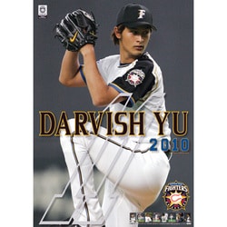2010年カレンダー ダルビッシュ有 B2サイズ