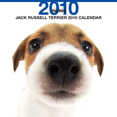 2010年カレンダー ジャック・ラッセル・テリア 60×30サイズ
