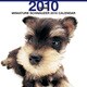 2010年カレンダー ミニチュア・シュナウザー 60×30サイズ