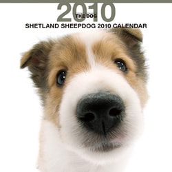2010年カレンダー シェットランド・シープドッグ 60×30サイズ
