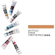 20ml ターナー アクリルガッシュ 133-A アプリコット