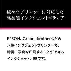 ヨドバシ.com - ピクトリコ PICTORICO ピクトリコプロ・両面