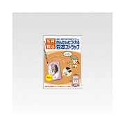 かんたんにつくれる豆本ストラップ ALS6ST