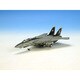 6665 F-14B VF-103 ジョリーロジャース [航空機模型]