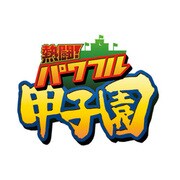 熱闘！ パワフル甲子園 [DSソフト]