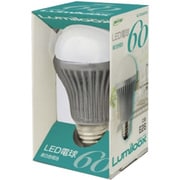 LED電球 E26口金 昼白色相当 520lm Lumiloox(ルミルークス) GL-DQ60CW
