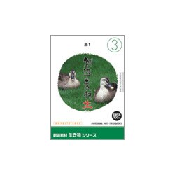 創造素材 生き物（3）鳥1 [Windows/Mac]