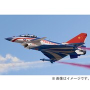 1/72 01644 中国J10S 複座型 [プラモデル]