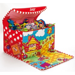 Sassy shop toy box