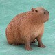 ドキドキどうぶつシリーズ カピバラ 完成品フィギュア 座り