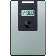 EV10シル [電子マネービューアーRELET(リレット) チタンシルバー]