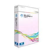 Buzans iMindMap Ver.4 日本語版 Pro for Windows [Windowsソフト]