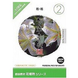 創造素材 花植物（2）花・花 [Windows/Mac]