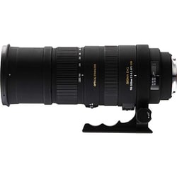 ヨドバシ.com - シグマ SIGMA APO 150-500mm F5-6.3 DG OS HSM