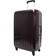 TSA搭載 JsP-air-light 60cm パープル 1851412